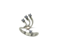 ARY Jewellers Silver Ring R27.2